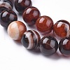 Natural Striped Agate/Banded Agate Beads Strands G-I261-C05-10mm-3