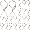 SUNNYCLUE 40Pcs 304 Stainless Steel Leverback Earring Findings STAS-SC0009-31P-1