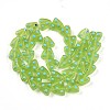 Handmade Lampwork Beads Strands LAMP-N028-01C-2