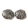 Natural Sesame Jasper Carved Healing Shell Figurines G-K353-03E-2