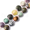 Natural Mixed Gemstone Beads Strands G-B094-A32-01-2