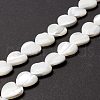 Natural Trochid Shell/Trochus Shell Beads SSHEL-O001-27D-4