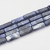 Natural Sodalite Beads Strands X-G-G968-D02-1