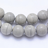 Natural Silver Line Jasper Beads Strands G-F531-8mm-O-3