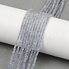 Natural Labradorite Beads Strands G-P553-F06-01-1