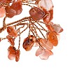 Mother's Day Natural Carnelian Chips Money Tree Decorations DJEW-C016-01D-2
