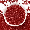 Glass Seed Beads SEED-L011-02A-03-2