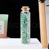Natural Aventurine Chips in a Glass Bottle with Cork Cover PW-WG28850-06-1