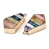 Rainbow Color Natural Imperial Jasper Pendants G-S359-329-3