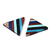 Resin & Walnut Wood Pendants RESI-N039-14-3