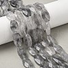 Natural Cloudy Quartz Beads Strands G-F790-C01-01-1