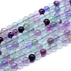 Natural Fluorite Beads Strands G-G823-03-6mm-1