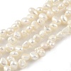 Natural Cultured Freshwater Pearl Beads Strands PEAR-A006-17A-2