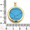 Rack Plating Brass Micro Pave Cubic Zirconia Pendants KK-K401-49B-G-3