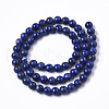 Natural Lapis Lazuli Beads Strands G-R465-22B-2