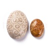 Natural Fossil Coral Cabochons G-M379-21-2