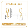   4 Sets 2 Colors Brass Smooth Earring Hooks EJEW-PH0001-22-2