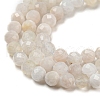 Natural Rainbow Moonstone Beads Strands G-A097-A02-04-4