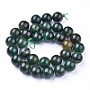 Natural Fuchsite Beads Strands G-K412-02-12mm-2