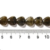 Natural Labradorite Beads Strands G-R190-10mm-52-5