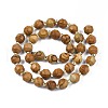 Natural Picture Jasper Beads Strands G-N326-100-06-2