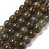 Natural Labradorite Beads Strands G-I253-01-2