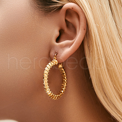 Brass Hoop Earrings EJEW-Z117-01G-1