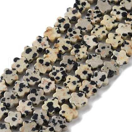 Natural Dalmatian Jasper Beads Strands G-B138-C08-01-1