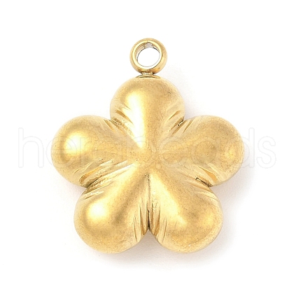 304 Stainless Steel Pendants STAS-R162-02G-01-1