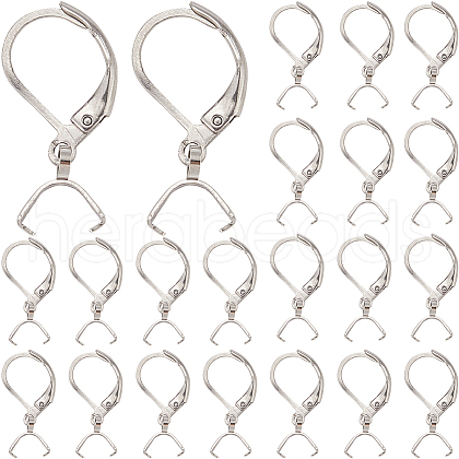 SUNNYCLUE 40Pcs 304 Stainless Steel Leverback Earring Findings STAS-SC0009-31P-1