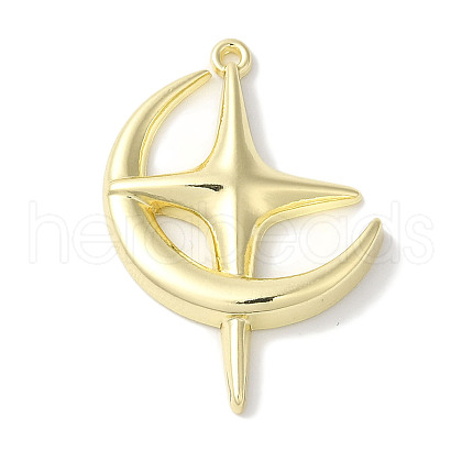 Rack Plating Alloy Pendants FIND-I039-044F-G-1