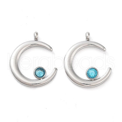304 Stainless Steel Pendants STAS-L022-380G-01-1
