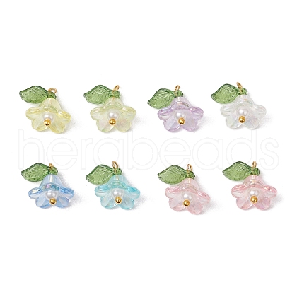 8Pcs Acrylic Charms PALLOY-JF03221-1