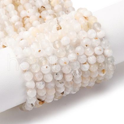 Natural Rainbow Moonstone Beads Strands G-G161-A01-03A-1