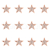 SUPERFINDINGS 12Pcs Star Brooch Pin JEWB-FH0001-43-1