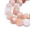 Natural Cherry Blossom Agate Beads Strands G-I249-B01-02-3