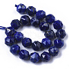 Natural Lapis Lazuli Beads Strands G-N327-03B-05-2