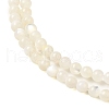 Natural White Shell Beads Strands SHEL-M021-03B-3