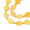 Dyed Natural Freshwater Shell Beads Strands SHEL-T020-13C-3