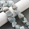 Natural Aquamarine Beads Strands G-S386-C18-1