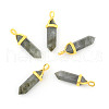 Natural Labradorite Pointed Pendants G-G902-A11-1
