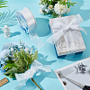 18M Iridescent Polyester Ribbon OCOR-WH0097-10A-5