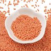 Baking Paint Glass Seed Beads SEED-S042-05B-83-2
