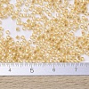 MIYUKI Delica Beads SEED-X0054-DB0100-3