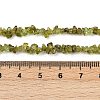 Natural Peridot Beads Strands G-P332-48-02-4