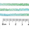 Transparent Painted Glass Beads Strands X1-DGLA-A034-T1mm-A17-3