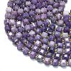 Natural Lepidolite/Purple Mica Stone Beads Strands G-K389-A32-01-3