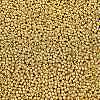 11/0 Grade A Dyed Glass Seed Beads X-SEED-N001-C-0561-3