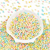 Baking Paint Glass Seed Beads SEED-N007-02B-2