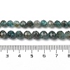 Natural Apatite Beads Strands G-G189-D02-07-5